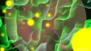 The Multidimensional Light Body (Full Memory Matrix)