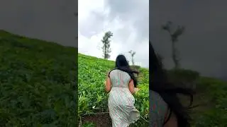 Monsoon vibes 💚.                       #love #shortvideo #youtube #trendingshorts #cute