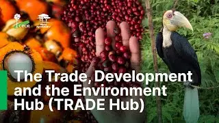 The Trade, Development and the Environment Hub (TRADE Hub)
