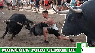 4K - MONCOFA, TORO CERRIL DE VENTANUEVA - 21-07-2025