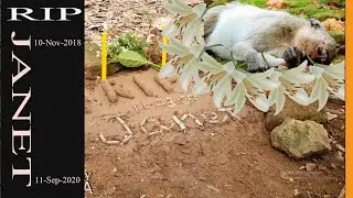 Janet's Funeral ....Good Bye Forever
