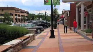 The Village of Lisle