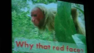 Why the red face? Advertising in Cacajao calvus (1/4)