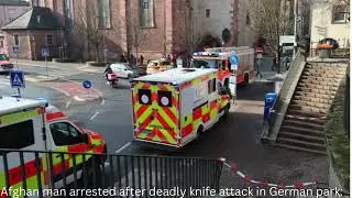 Afghan man arrested after deadly knife attack in German park: