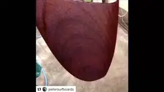 Pieter Balsa fifties pig build