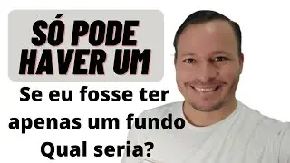Se eu fosse ter apenas um FII na carteira, qual seria?