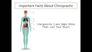 Just Back Pain in Canton? - Dr. Michael Duckett