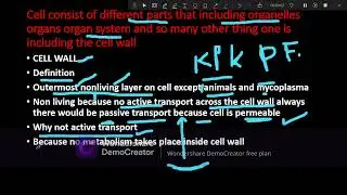 basic and important concept of cell wall