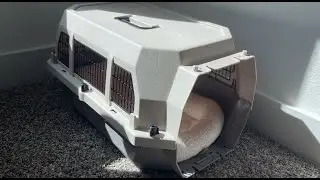 Review + Assembly of Amazon Basics Hard-Sided Pet Kennel #kennel #cataccessories #dogaccessories