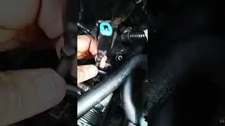 BMW e46 318i conexiones cables, empaque de cableado,limpieza motor....🫡🫡🫡🫡😉😉😉😎😎😎🫵🫵🫵👉👉👉👍👍👍👌👌👌❤️❤️❤️👍👍