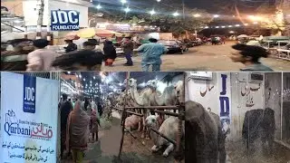 JDC 2022 Best Cow 🤩👌👌🙂😀