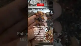 garam masala|badian star anise|#shorts #subscribe #ytshorts #masala #badian|EveryDay Meals With Shai