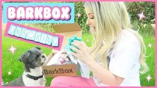 Rebel's First BarkBox!