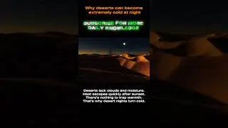 #DailyKnowledge #LifeFacts #EarthFacts #NatureKnowledge #ScienceExplained #WorldFacts #YTShorts