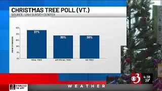 Poll shows Vermont Christmas tree preferences