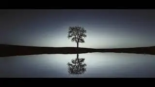 WINTERLEAF - Leaves Of Winter (Official Lyric Video 2021)