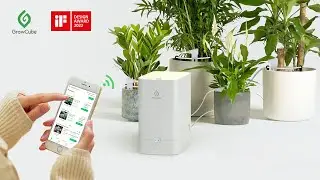 GrowCube &mdash; умный набор для полива выращивает ваши растения профессионально