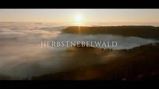 Herbstnebelwald (Cine 4k)