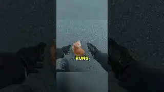 Байкер спас котёнка от наезда 😳