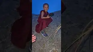 Are you Buddhist ☸️??? #reels ##views #trending #dharma