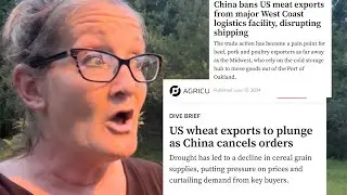 CHINA CANCELS AMERICAN BEEF & WHEAT EXPORTS: ractopamine traces