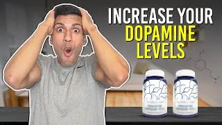 These Nootropics Will Increase Your Dopamine Levels!