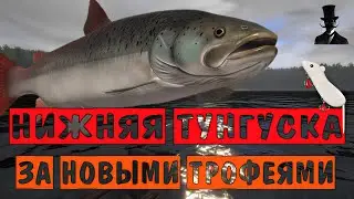 За новыми трофеями. Река Нижняя Тунгуска. Русская Рыбалка 4.