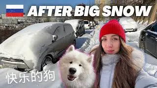 Life in VLADIVOSTOK After The Storm! Finally Picking Up My Car 😍 | Russia Vlog