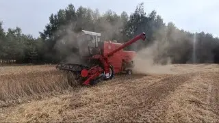 Klima w Bizonie nie działa..😓 Młócenie do ciemnej nocy. Żniwa 2023🌾🌾