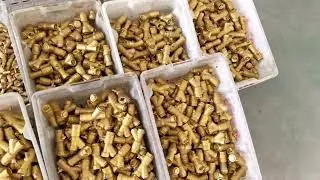 Custom Metal Parts Surface Treatment Line | Prime Factory Tour