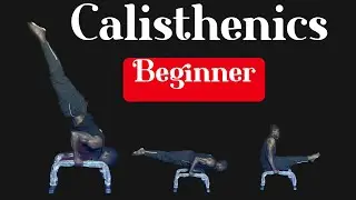 Calisthenics for beginners | home daily workout.