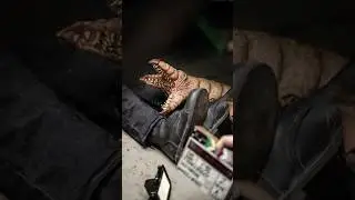 They Crawl Beneath (2022) Movie Behind the Scenes #shorts