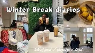 Last days of 2025 🫐 shopping, lots of food, new year sunrise, ipad