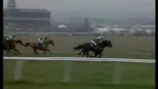 1988 Hennessy Gold Cup  Strands Of Gold