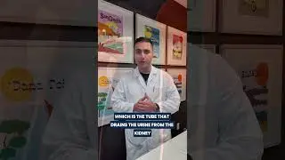 Will Flomax help me pass kidney stones?