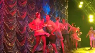 Carnival paradise cruise