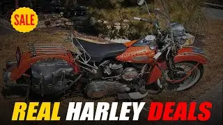 10 REAL Harley-Davidson Deals You Can Still Buy Right Now