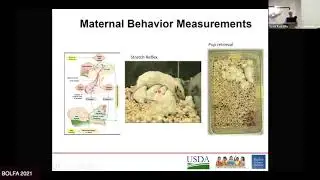 Understanding the Mechanisms by which Genomic Variants Determine Maternal Outcomes