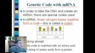 Transcription and Translation