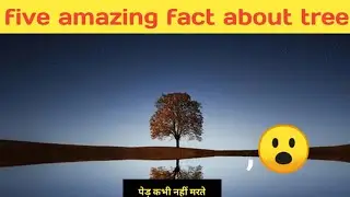 FIVE AMAZING FACT ABOUT TREE #shorts #facts #amazingfacts
