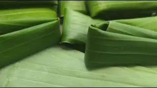 Mengolah Hasil Kebun Jadi Cuan