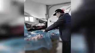 Kocaeli&rsquo;de merdiven altı tavuk par&ccedil;alama tesisine su&ccedil;&uuml;st&uuml;