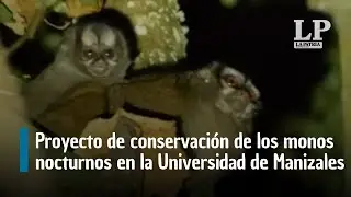 Proyecto de conservaci&oacute;n de los monos nocturnos en la Universidad de Manizales