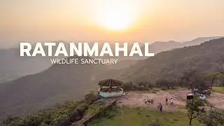 We Spotted Leopard  in Ratanmahal Wildlife Sanctuary