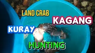 land crab hunting