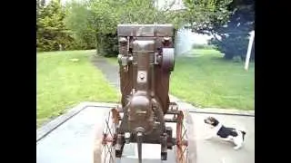 bernard W4