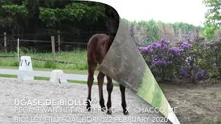 Ugase de Biolley