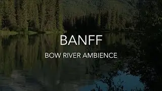 [Calm Break] 🇨🇦 ASMR 🎧 Banff Bow River Ambience | Calming Nature Sounds 