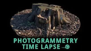 Photogrammetry Process Time Lapse