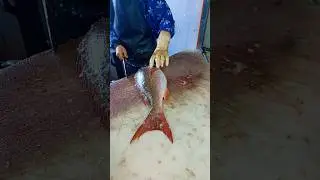 Red Snapper - Really Easy! How to Cut Up Fish